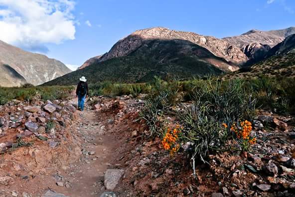 Turismo Sustentable en Cieneguillas